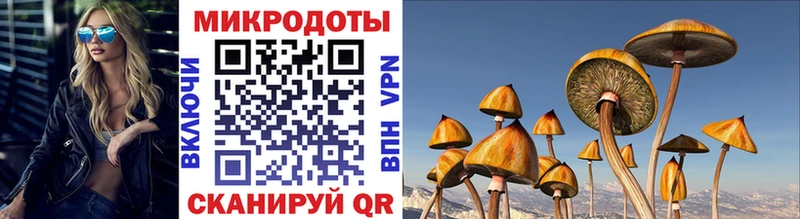 нарко площадка формула  цены наркотик  Ирбит  Псилоцибиновые грибы Cubensis 
