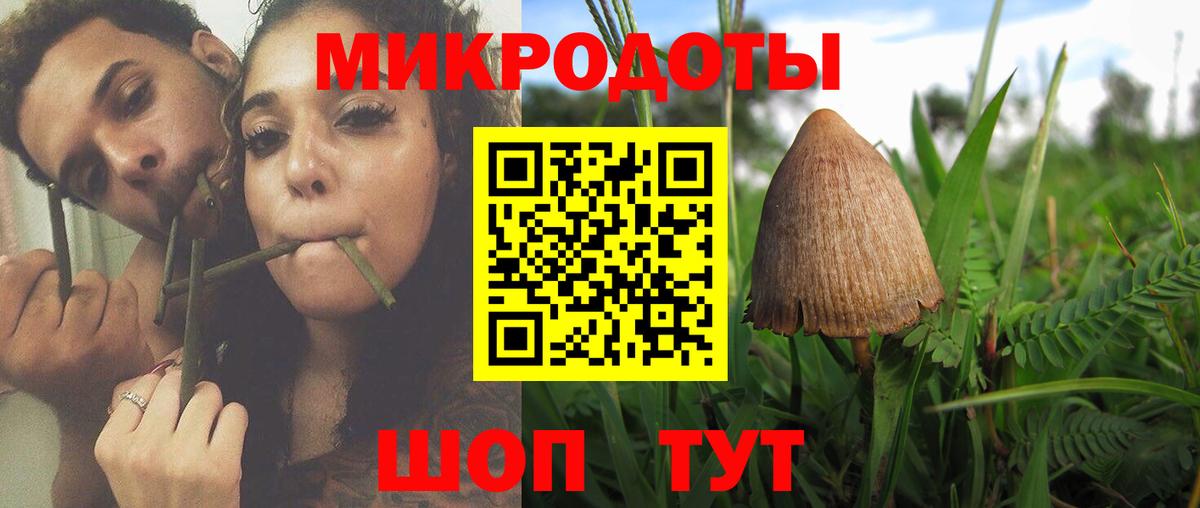 Ирбит  Псилоцибиновые грибы Psilocybine cubensis  Вход с VPN  Псилоцибиновые грибы MAGIC MUSHROOMS 